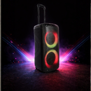 PulseBox Trolley 2X8 Pol 800W BT/AUX/FM/SD/USB Led